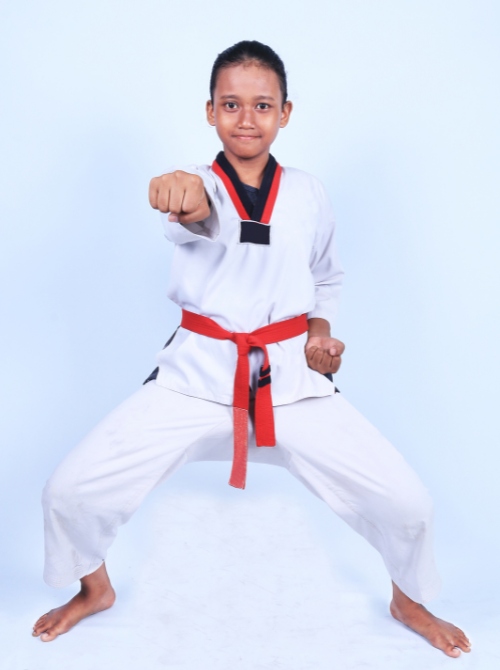 500X670_Taekwondo_1